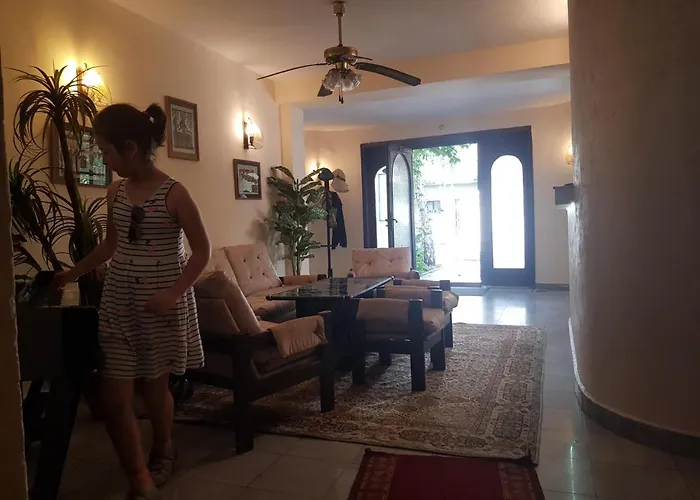 Dvete Brezi Penzion 3*