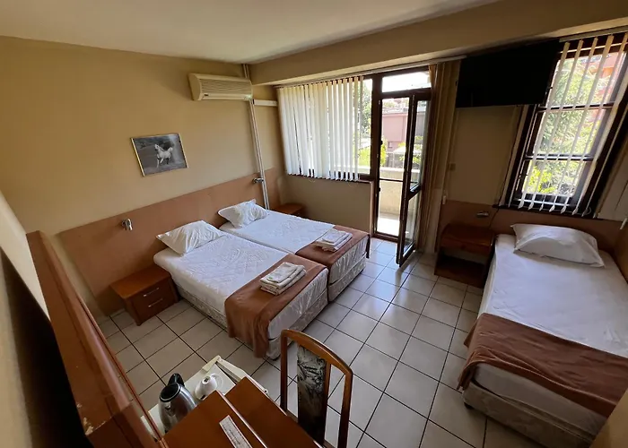 Penzion Dvete Brezi 3*